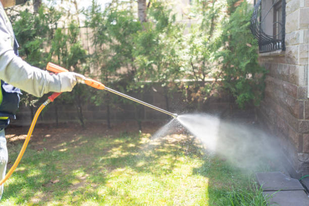 Best Rat Extermination Near Me  in Helemano, HI