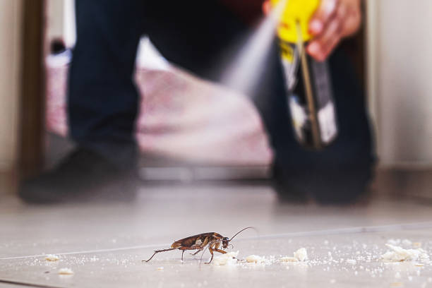 Best Pest Control for Restaurants  in Helemano, HI